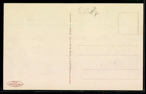 AK Insel Rügen, Blick zum Jagdschloss Granitz