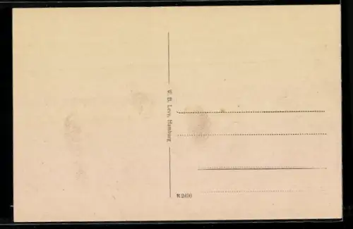AK Wolfenbüttel, Rathaus mit Strassenpartie