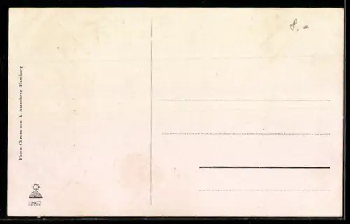 AK Ratzeburg, Panorama vom Wasserturm