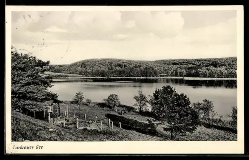 AK Lankau, Lankauer See