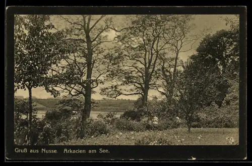 AK Nusse, Arkacien am See