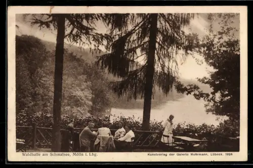 AK Mölln i. Lbg., Gasthaus Waldhalle am Schmalsee