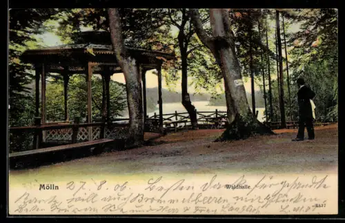 AK Mölln, Partie an der Waldhalle