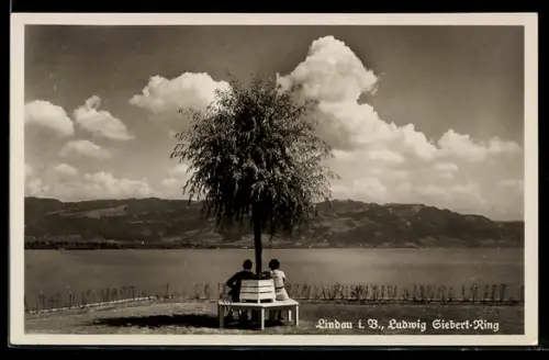 AK Lindau i. B., Ludwig Siebert-Ring, Seeufer, Bank, Baum