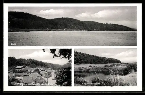 AK Tesperhude a. d. Elbe, Elbe, Anglerparadies, Ortspartie