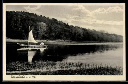 AK Tesperhude a. d. Elbe, Uferpartie mit Segelboot
