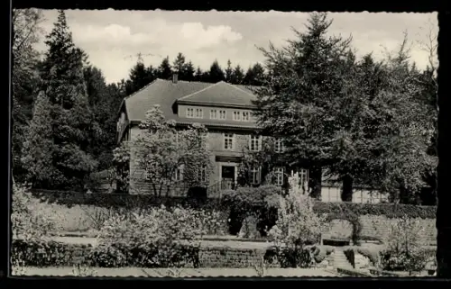 AK Osterwald, Gasthaus Osterwald, Inh. Bernhard Bringmann, Aussenansicht mit Garten