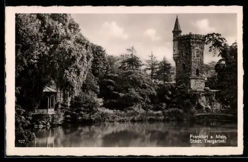 AK Frankfurt-Ostend, Städtischer Tiergarten