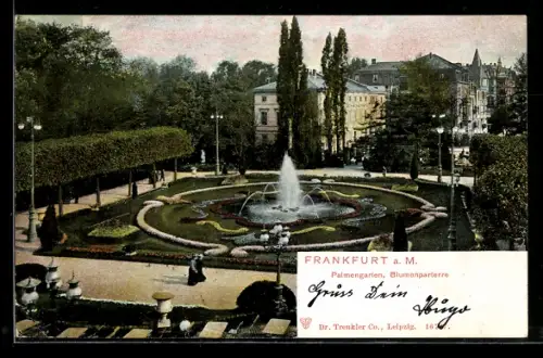 AK Frankfurt-Westend, Blumenparterre im Palmengarten