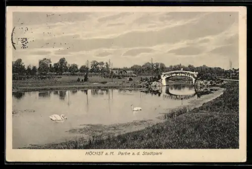 AK Höchst a. M., Partie aus dem Stadtpark