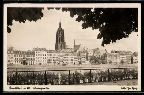AK Alt-Frankfurt, Mainpartie mit Dom