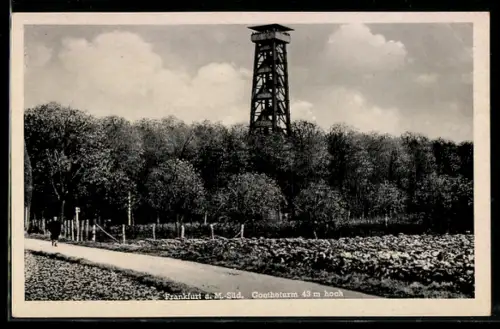 AK Frankfurt-Sachsenhausen, Goetheturm mit Waldweg