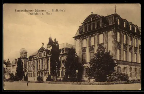 AK Frankfurt a. M.-Westend, Senckenberger Museum, Bibliothek