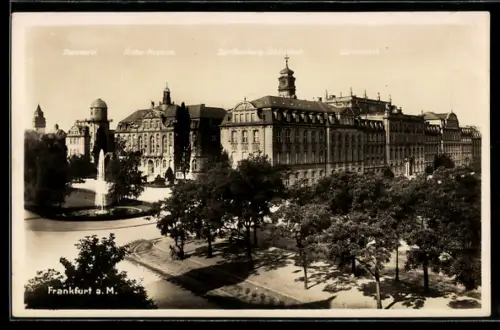 AK Frankfurt-Westend, Sternwarte, Histor. Museum, Senckenberg-Bibliothek, Universität