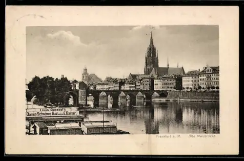 AK Frankfurt a. M., Alte Mainbrücke, Dom, Damenschwimmbad