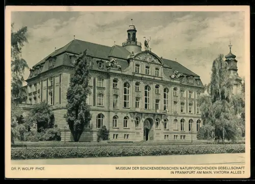 AK Frankfurt-Westend, Museum der Senckenbergischen Naturforschenden Gesellschaft