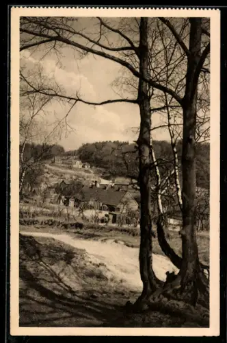 AK Tesperhude /Elbe, Ortspartie