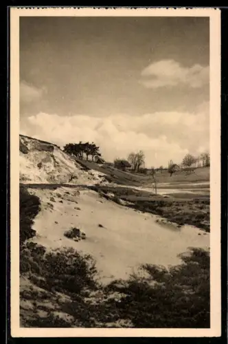 AK Tesperhude /Elbe, Dünensand, Landschaftsansicht
