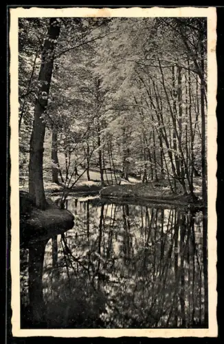 AK Mölln i. Lbg., Märchenbach beim Drüsen