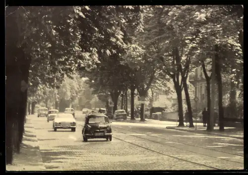 AK Frankfurt-Bockenheim, Kastanien an der Bockenheimer Landstrasse, Strassenansicht