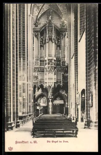 AK Alt-Frankfurt, Orgel im Dom