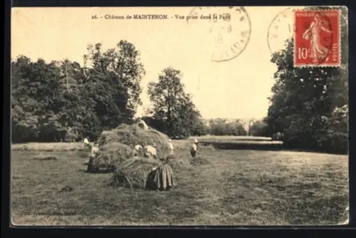 AK Maintenon, Chateau de Maintenon, Vue prise dans le Parc
