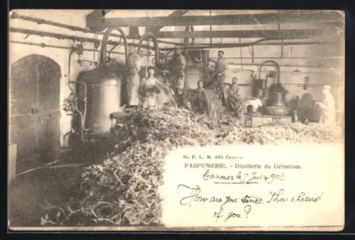 AK Cannes, Parfumerie, Distillerie du Géranium
