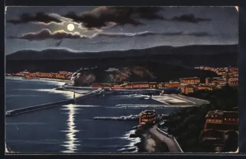 Künstler-AK Nice, Vue générale prise du Mt. Boron à la nuit