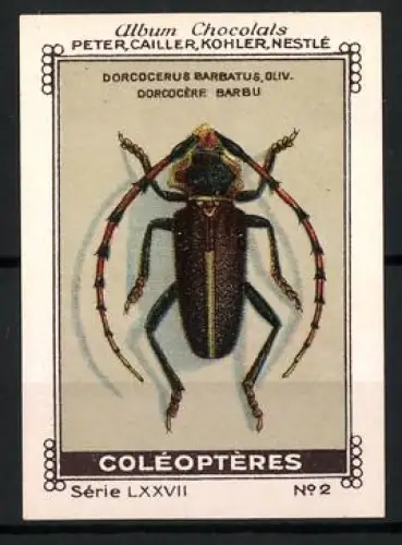Reklamemarke Album Chocolats, Peter, Cailler, Kohler, Nestlé, Käfer Coleopteres, Insekt Käfer