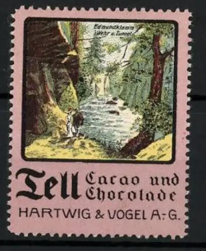 Reklamemarke Dresden, Tell Cacao und Chocolade Hartwig & Vogel AG, Wehr & Tunnel Edmundsklamm