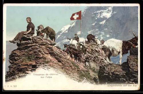 AK Troupeau de chèvres sur l`alpe, Ziegen