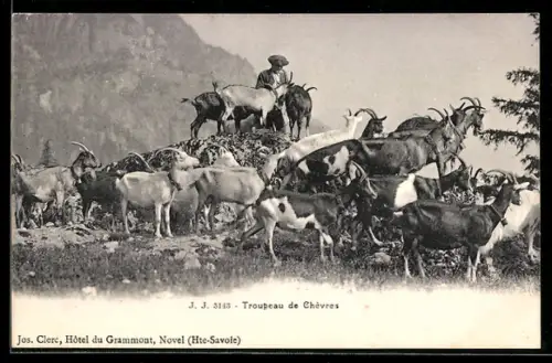 AK Hirte mit Ziegen auf einem Berg