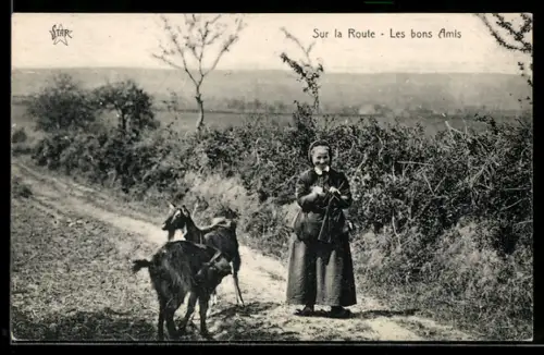 AK Zwei Ziegen mit strickender Fussgängerin auf einem Feldweg