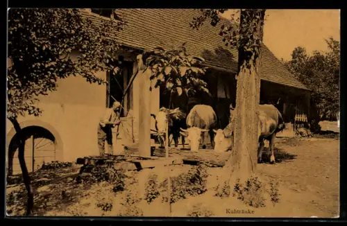 AK Kuhtränke an einem Gehöft im Schwarzwald