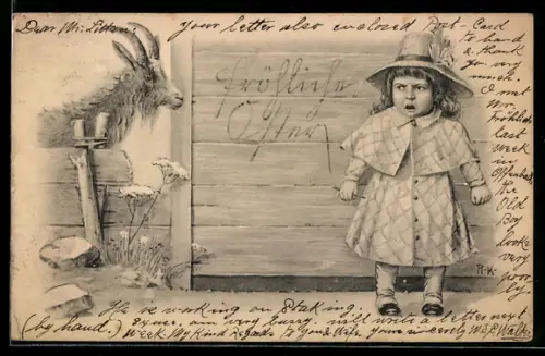 AK Kleine Dame ist von neugieriger Ziege nicht angetan