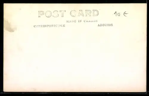 AK Mountain Goat, Portrait