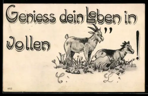 AK Geniess dein Leben in vollen..., Ziegen