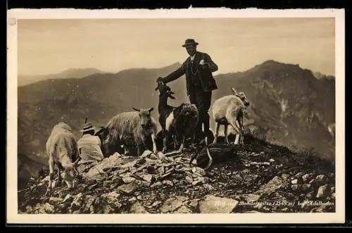 AK Adelboden, Auf der Bonderspitze, Ziegen und zwei Herren