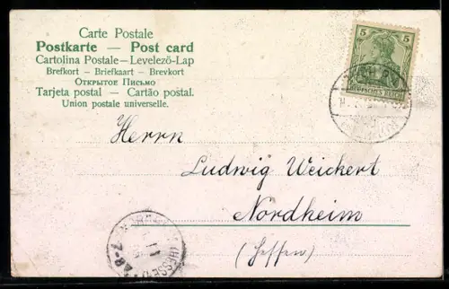 AK Röhrender Hirsch und Hirschkühe auf einer Wiese