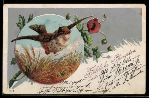 AK Fliegender Singvogel über Getreidefeld, Mohnblume, Pfingstgruss