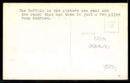 AK Medford, Oregon, Blue Moon Ranch, Native American Buffalo