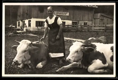 AK Tegernsee, Hirschberg, Holzpointalm, Almbäuerin mit Kühen