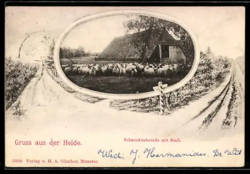 AK Schnuckenherde mit Stall, Wege-Panorama
