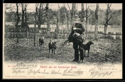 AK Lüneburger Heide, Förster mit Rehkitzen u. Hund in einem Freigehege
