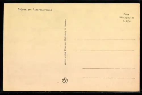 AK Fliegende Möwen am Meer
