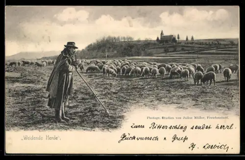 AK Weidende Schafherde mit Schäfer