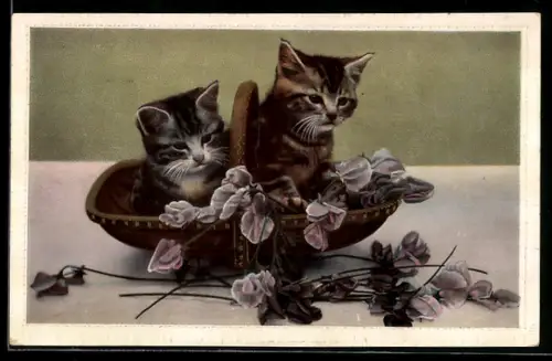 AK Zwei kleine Katzen in einem Blumenkorb