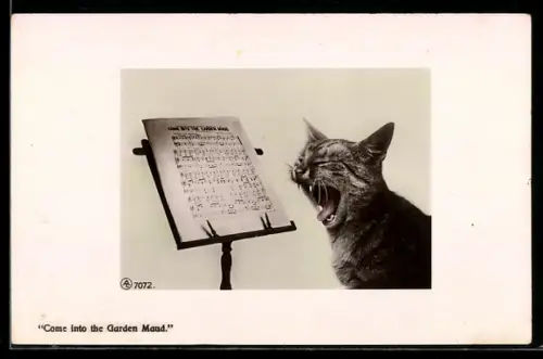 AK Come into the Garden Maud, Gähnende Katze vor Notenständer
