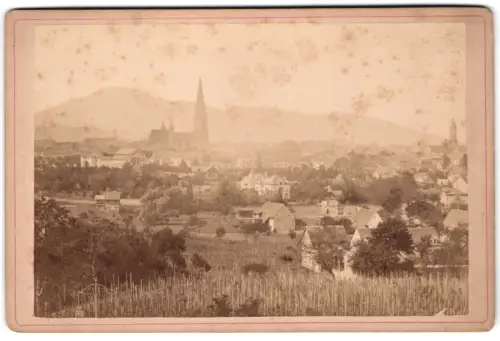 Fotografie unbekannter Fotograf, Ansicht Freiburg i. Br., Ortsansicht mit Kirche im Hintergrund