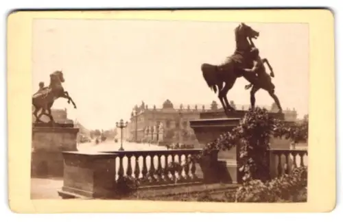 Fotografie unbekannter Fotograf, Ansicht Berlin, Imposante Reiterstatuen am Schloss